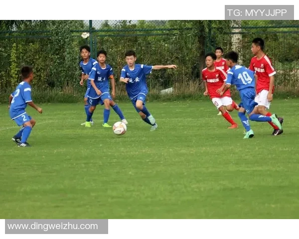 足球星人仔趣味盘点探索绿茵世界中的激情与独特收藏魅力